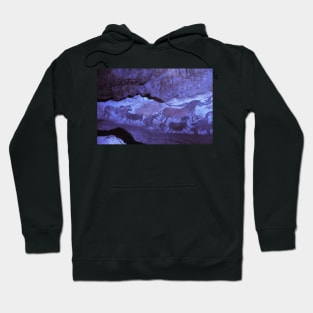 Lascaux cave paintings (E448/0114) Hoodie